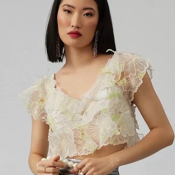 Anthropologie Tops - Worn-Once Anthropologie Sheer Floral Appliqué Top | White & Green | Size Large